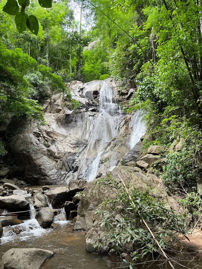 IMAGE 2026-04-24 15:42:37.jpg