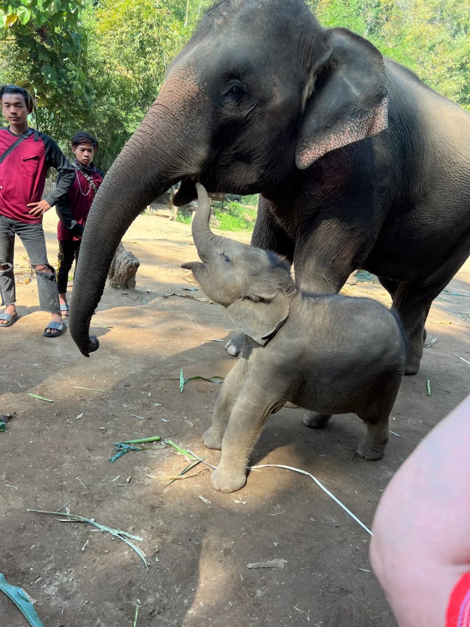 IMAGE 2026-04-24 15:42:49.jpg