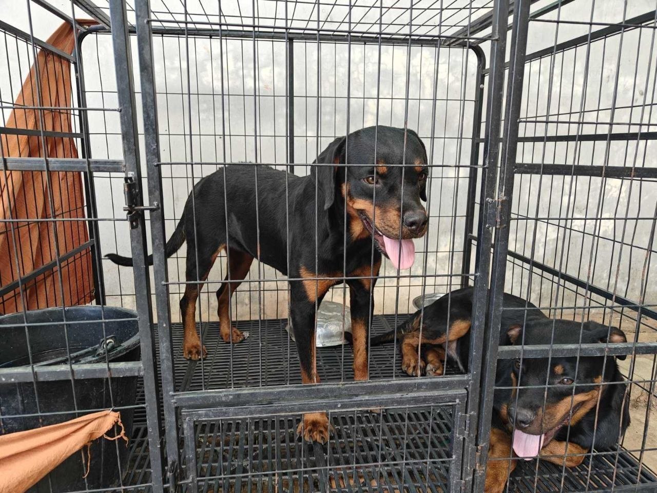 IMAGE 2026-04-25 15:14:39.jpg