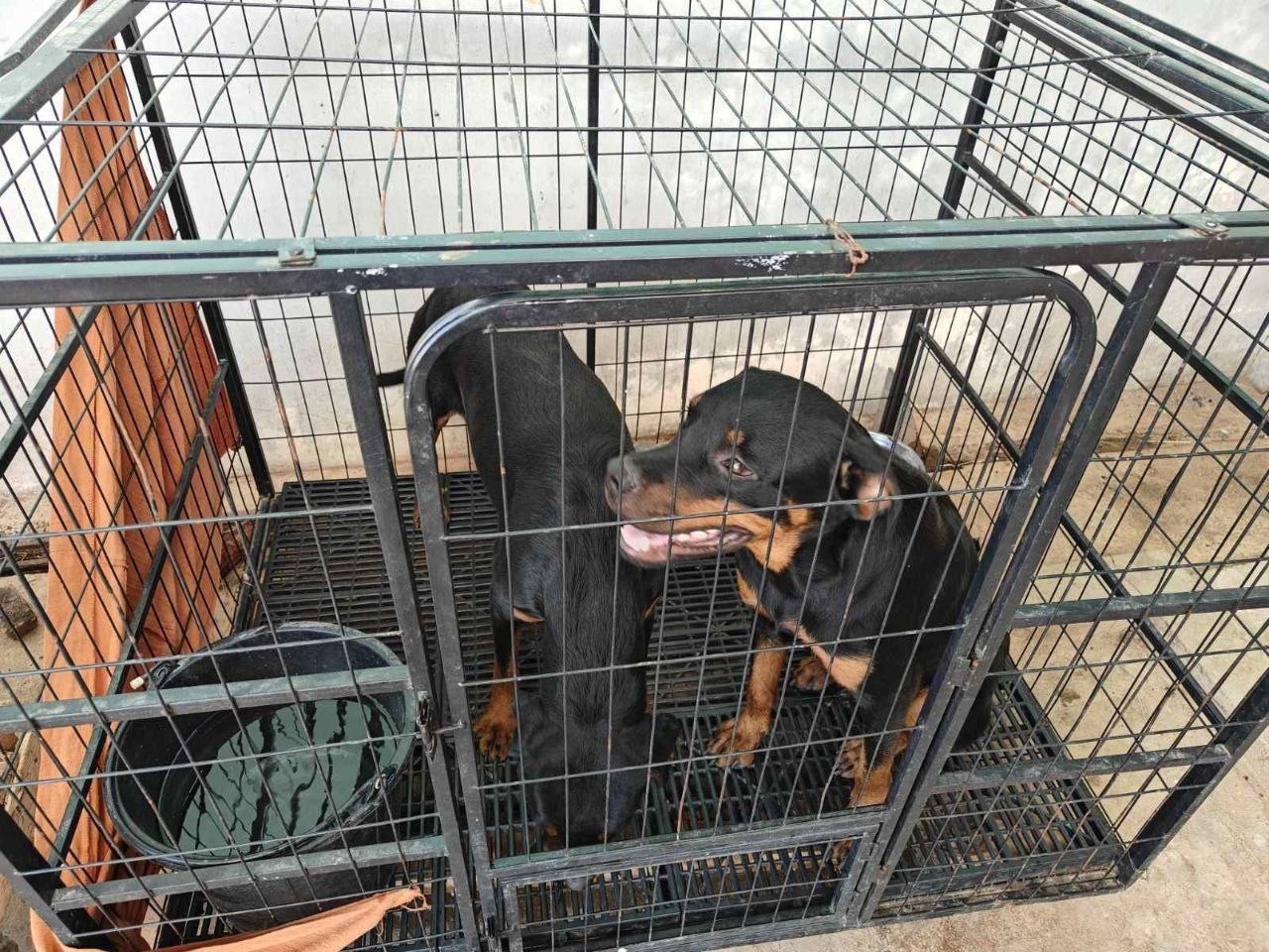 IMAGE 2026-04-25 15:14:41.jpg