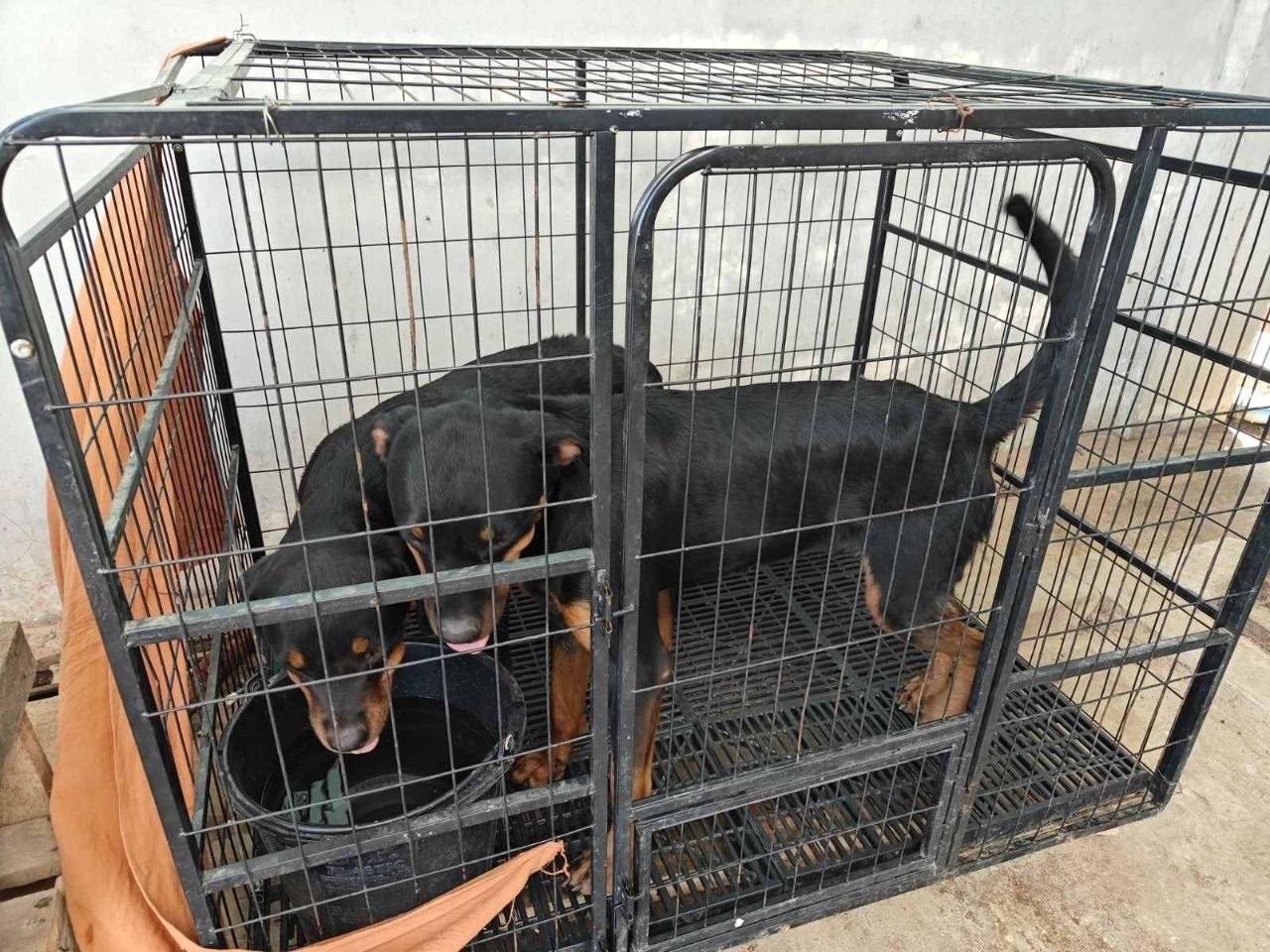 IMAGE 2026-04-25 15:14:43.jpg