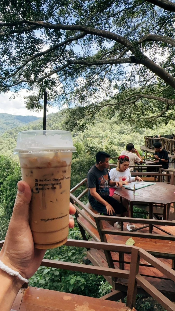 IMAGE 2026-04-25 15:22:18.jpg