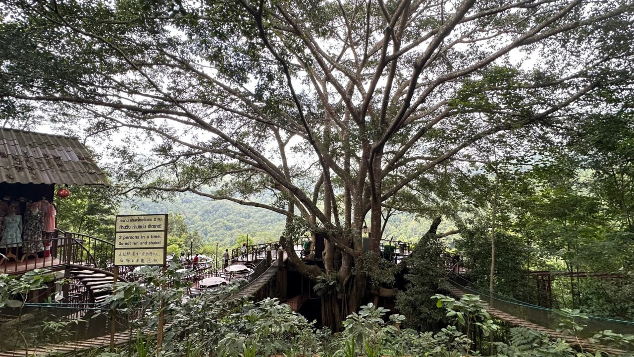 IMAGE 2026-04-25 15:22:20.jpg