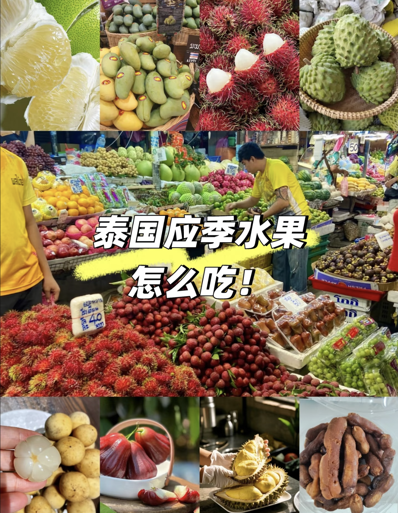 Pasted Graphic 18.png