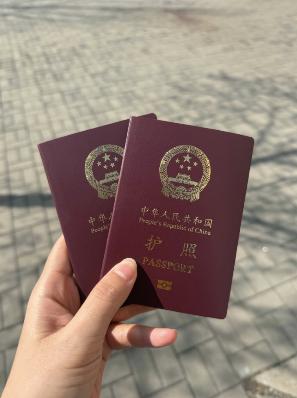 Pasted Graphic 31.png