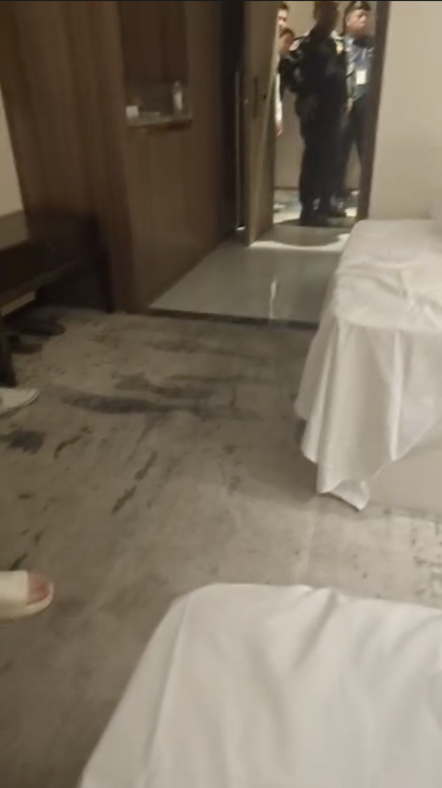 Pasted Graphic 32.png