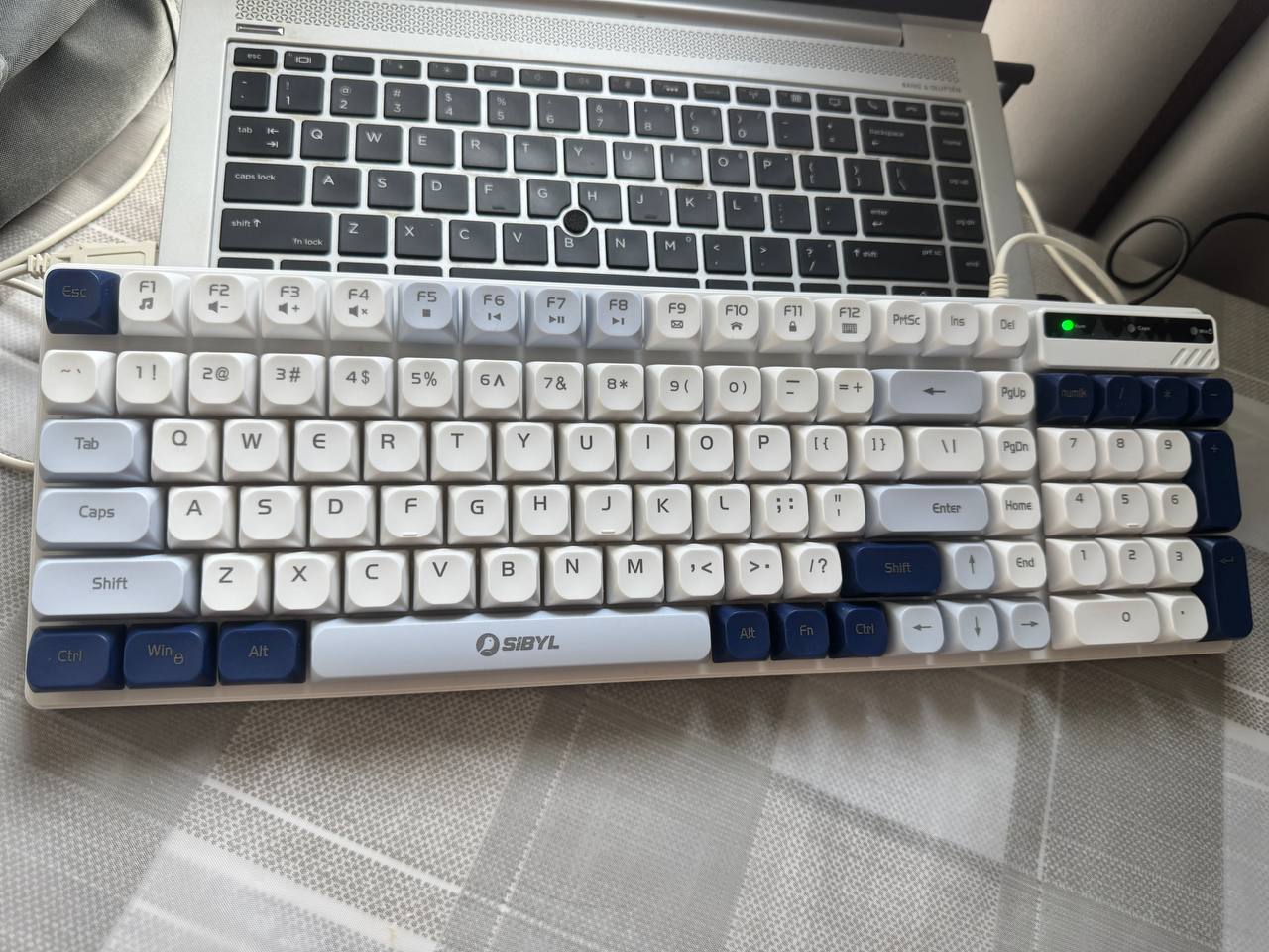 IMAGE 2026-04-29 13:00:36.jpg