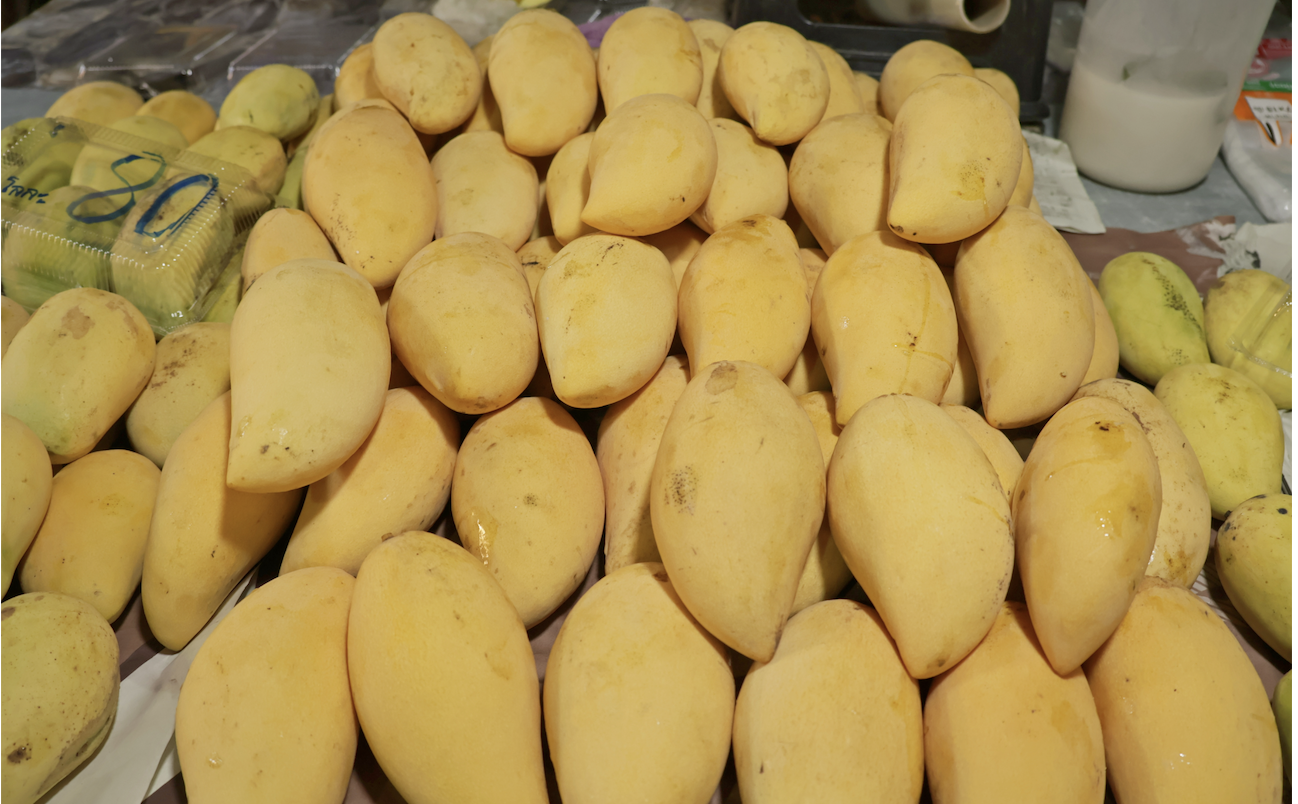 Pasted Graphic 5.png