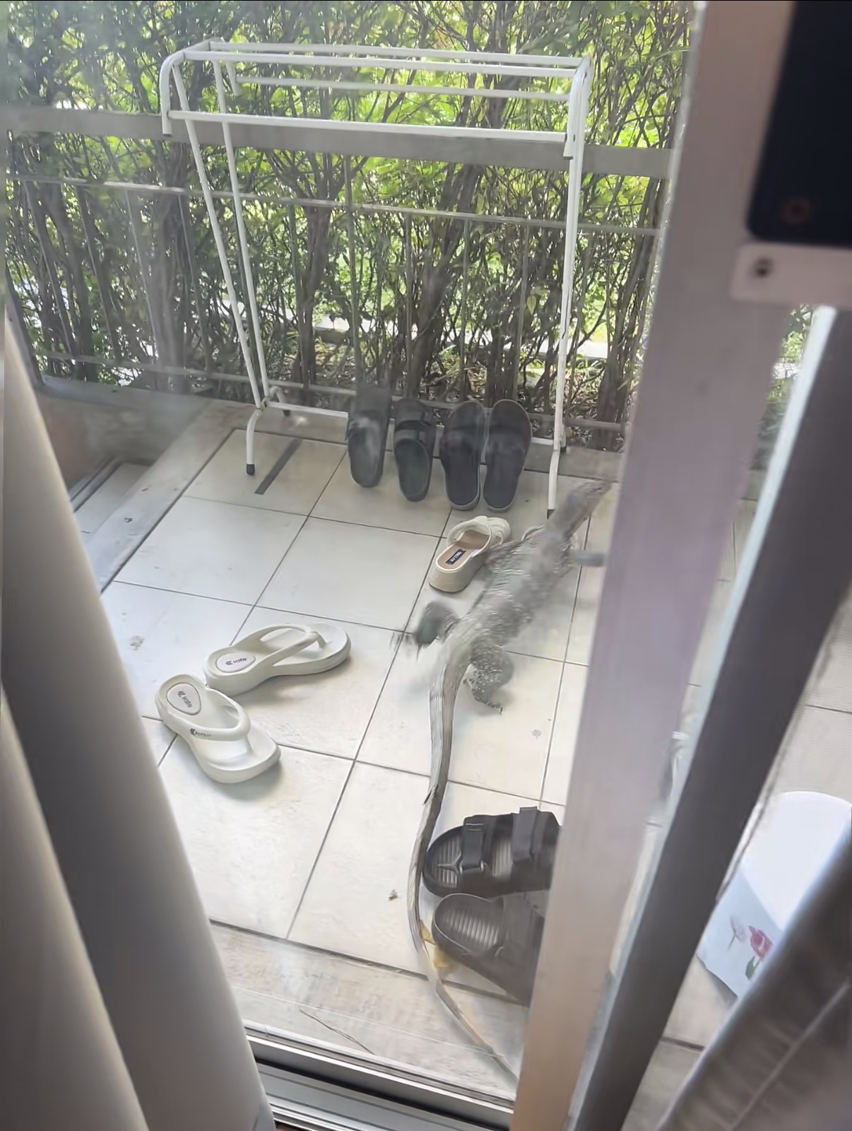 IMG_3546.jpg