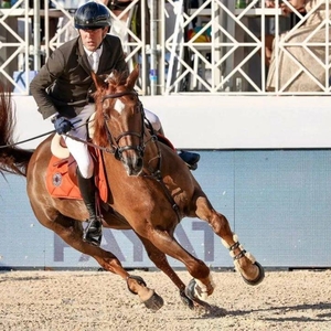 奥地利和法国公布2022丹麦海宁场地障碍世界锦标赛参赛名单