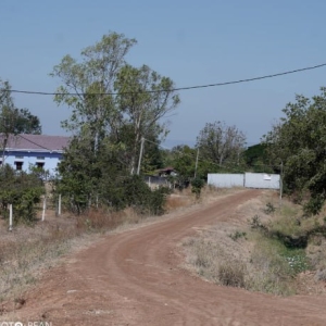 边境停火下,柬埔寨公民被泰扣押获释