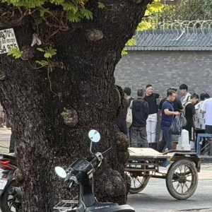 园区跑路叠加春节，金边回国机票明显上涨