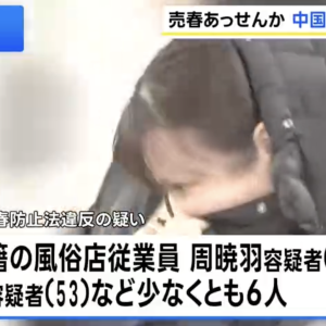 日本破获跨国卖淫案，中国6人被捕