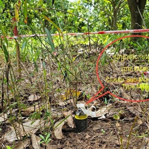 泰国军用M46炸弹残留！柬泰边境民众切勿靠近