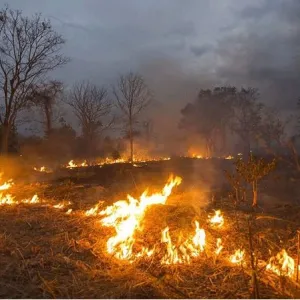 老挝、缅甸、泰国三国禁止焚烧秸秆