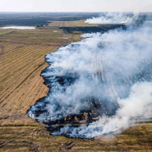 曼谷空气再受烧芭影响!全国三分之一空气重度污染