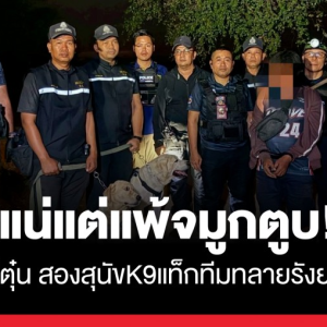 素攀府毒品窝点被端！缴获大量毒品与非法枪支