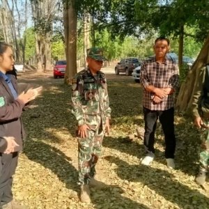 发情期野象出没,露营男子遭野象袭击身亡!