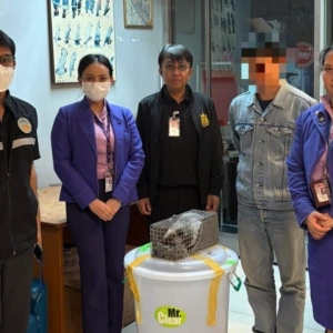 跨境走私野生动物曝光，!泰国旅客被抓现行