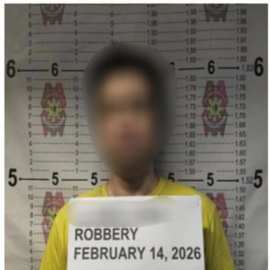 农历新年前夕聚会突发抢劫案，中国籍嫌犯被捕