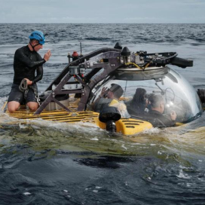 美国“海洋探索号”印尼深海探秘，寻新物种与医药潜能