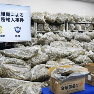 泰国大麻涌入日本！查获量在创新高
