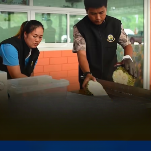 为稳住中国市场，泰国榴莲升级检验标准！