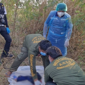 泰国沙拉武里路边树林惊现女童遗体！死因待查中
