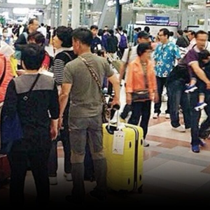 泰国推出“安心游”政策后，中国游客数量显著增长！