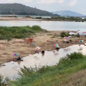 湄公河沿岸掀淘金热潮，村民每天可赚1000到1500泰铢