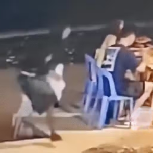 中国台湾夫妇菲律宾薄荷岛用餐遭盗，省长悬赏15万抓窃贼