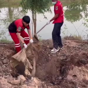 泰国杀人埋尸案：弟妹持木棒当众痛击姐夫致死，并掩埋