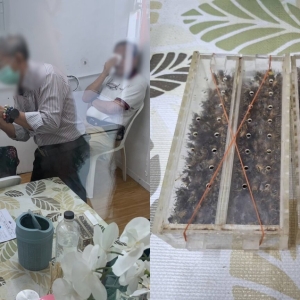 用蜜蜂刺眼治青光眼？ 泰国黑诊所被警方端掉