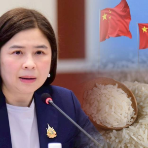 泰国有机大米抢占中国高端市场，出口量翻三倍！