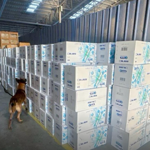 菲律宾港口查获超2亿走私香烟！三名中国嫌疑人涉案