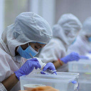 柬埔寨798家燕屋登记审查，力争中国出口标准