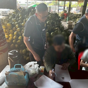 震惊！中国资本垄断泰椰子市场，6厂椰子收购价仅2泰铢一颗