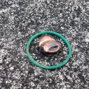 震惊枪战！社交媒体挑衅引发冲突，四人送医