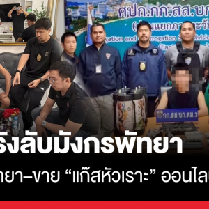 芭堤雅华裔毒贩窝点被端，笑气与毒品一网打尽