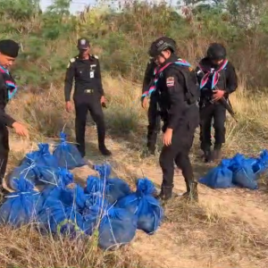 走私野生动物再现！泰国边境查获51只猕猴