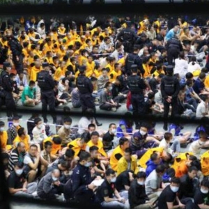 中国最高检察机关：缅北电诈专项行动批捕4.8万人