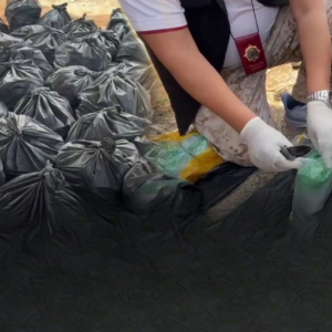 泰国北部查获近600公斤冰毒，原计划运往中部销售