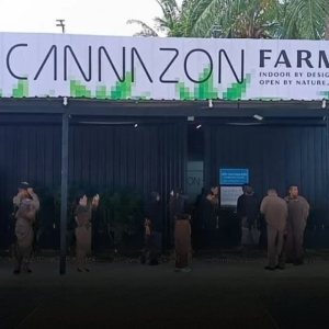 重磅缉毒！以色列男子大麻工厂在泰国被查