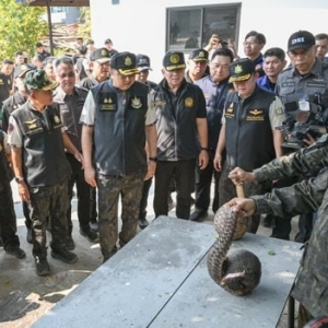 警方查获超千立方米珍贵木材，涉案价值30亿泰铢