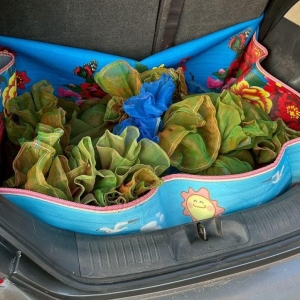 泰国走私案：装袋偷运太猖狂！37只猕猴险被带出境