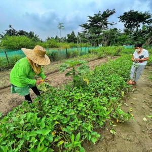 菲律宾担忧化肥短缺？中方保证出口无阻