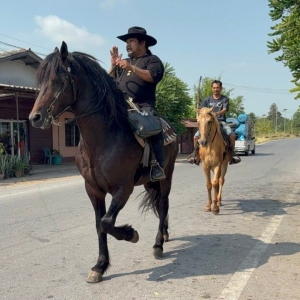 燃料短缺引发奇景：男子骑马拎油桶寻找加油站