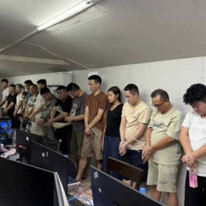 AI批量控号，虚假高回报投资骗局曝光！43中国电诈人员被捕