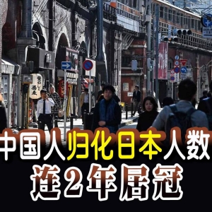 中国人归化日本人数攀升，教育福利仍是首选因素