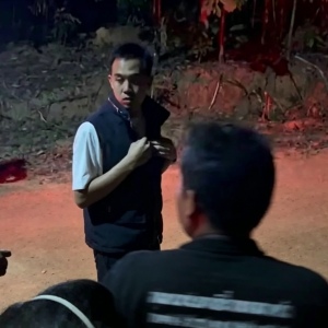 达叻府惨剧：63岁农工被野象活活踩死